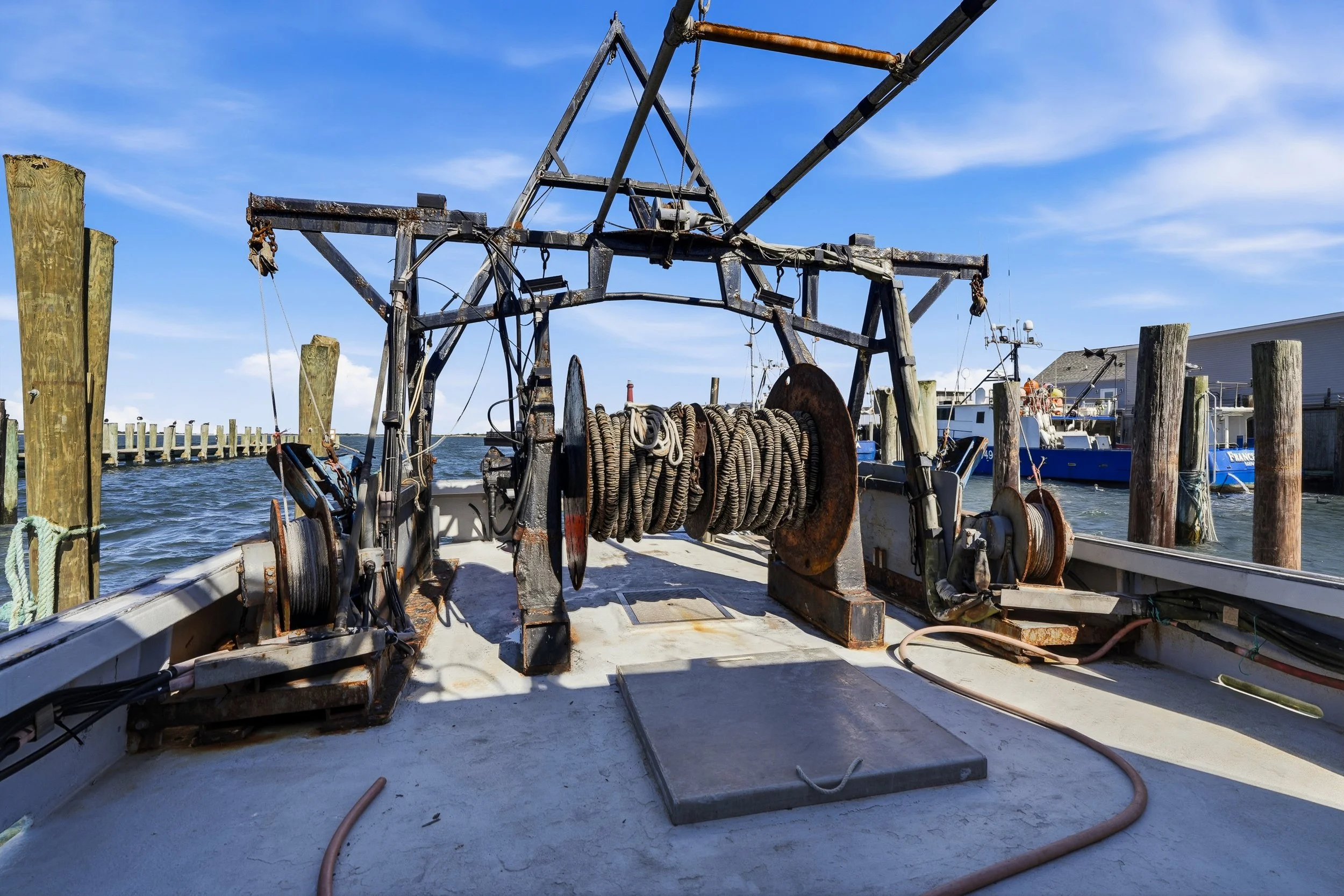 FV-Viking-Rose-23.jpg