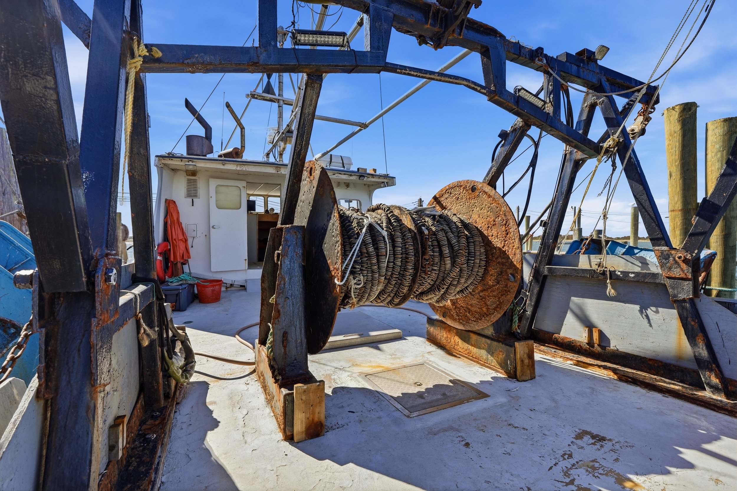 FV-Viking-Rose-25.jpg