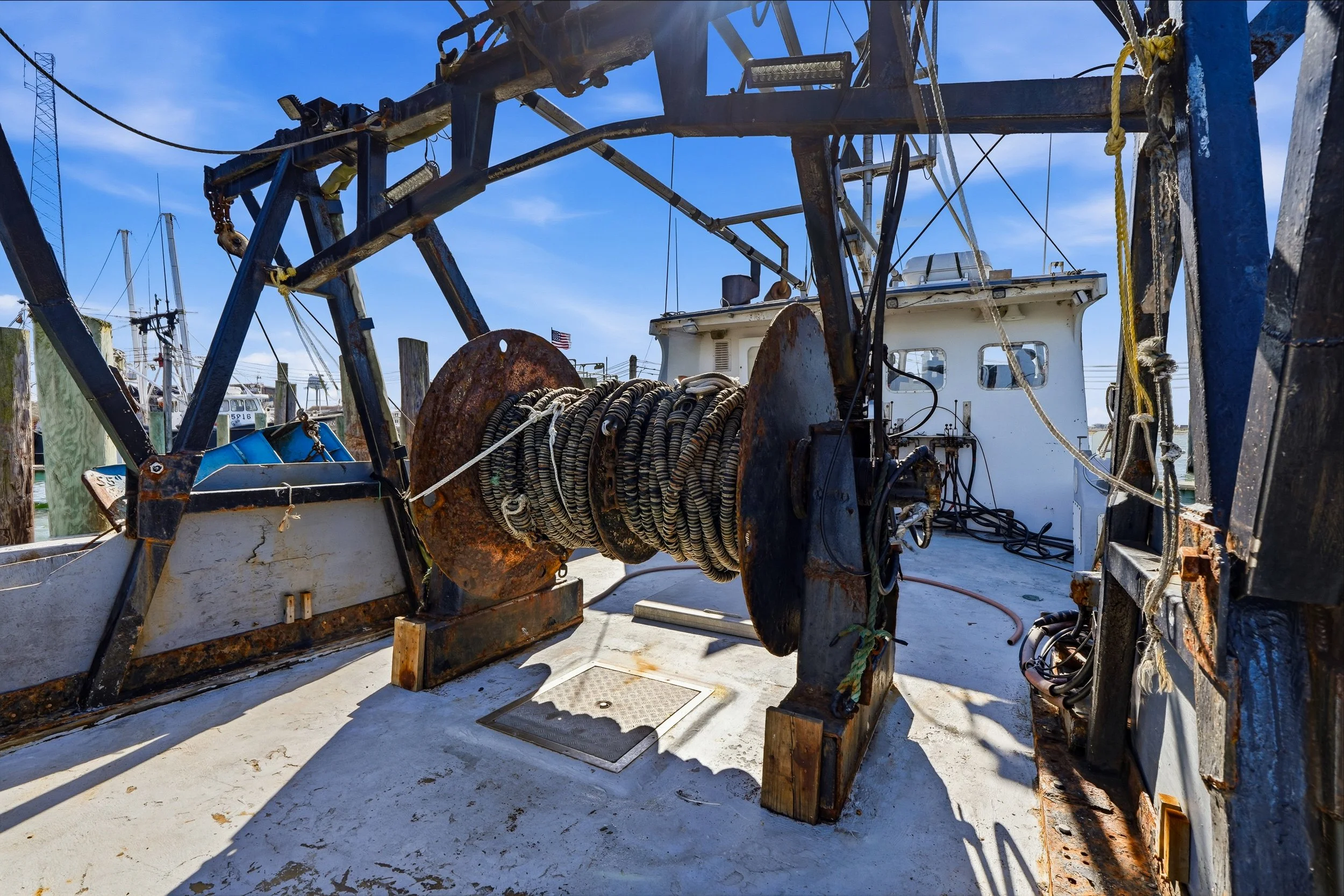 FV-Viking-Rose-28.jpg