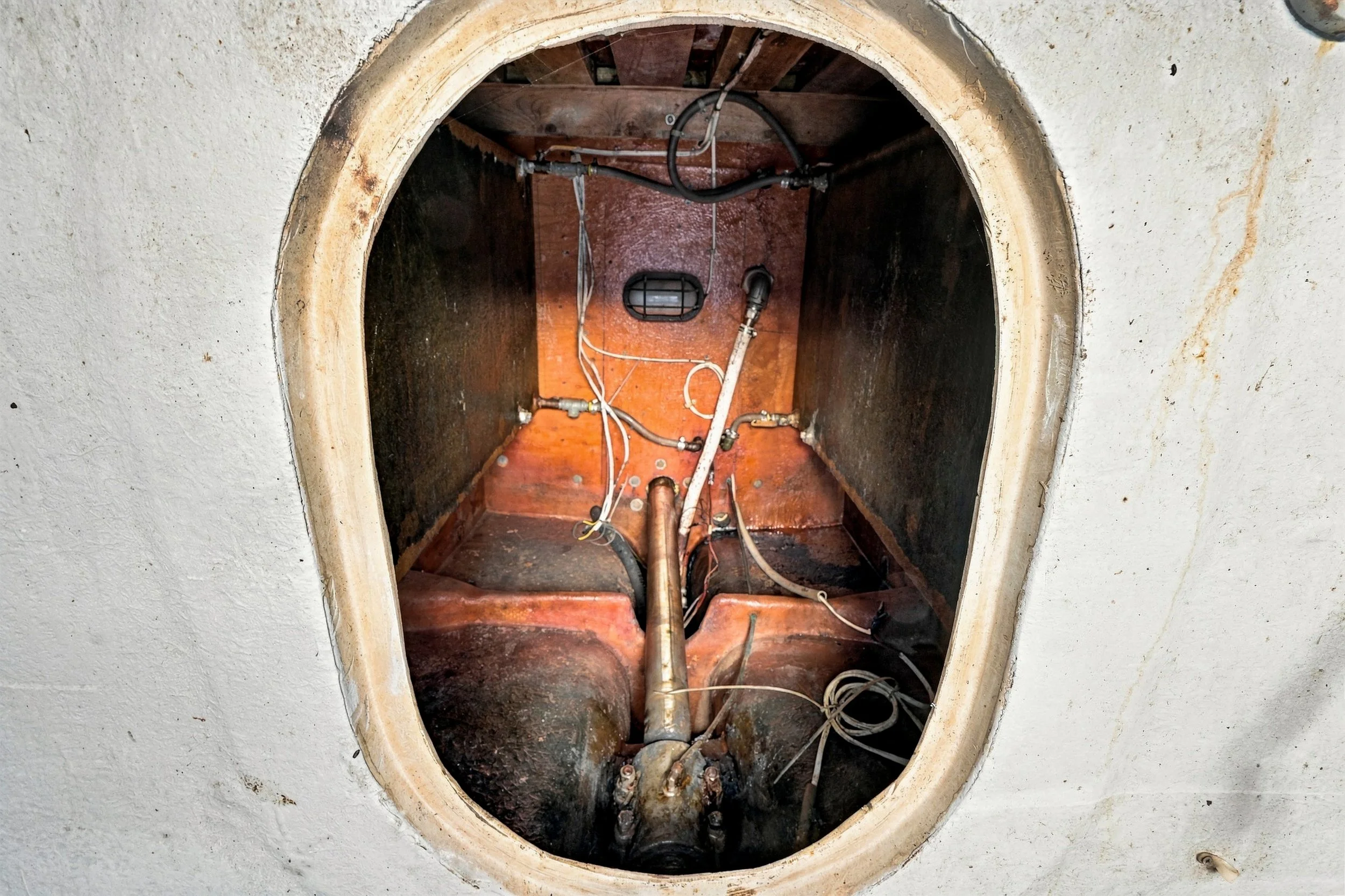 FV-Viking-Rose-43.jpg