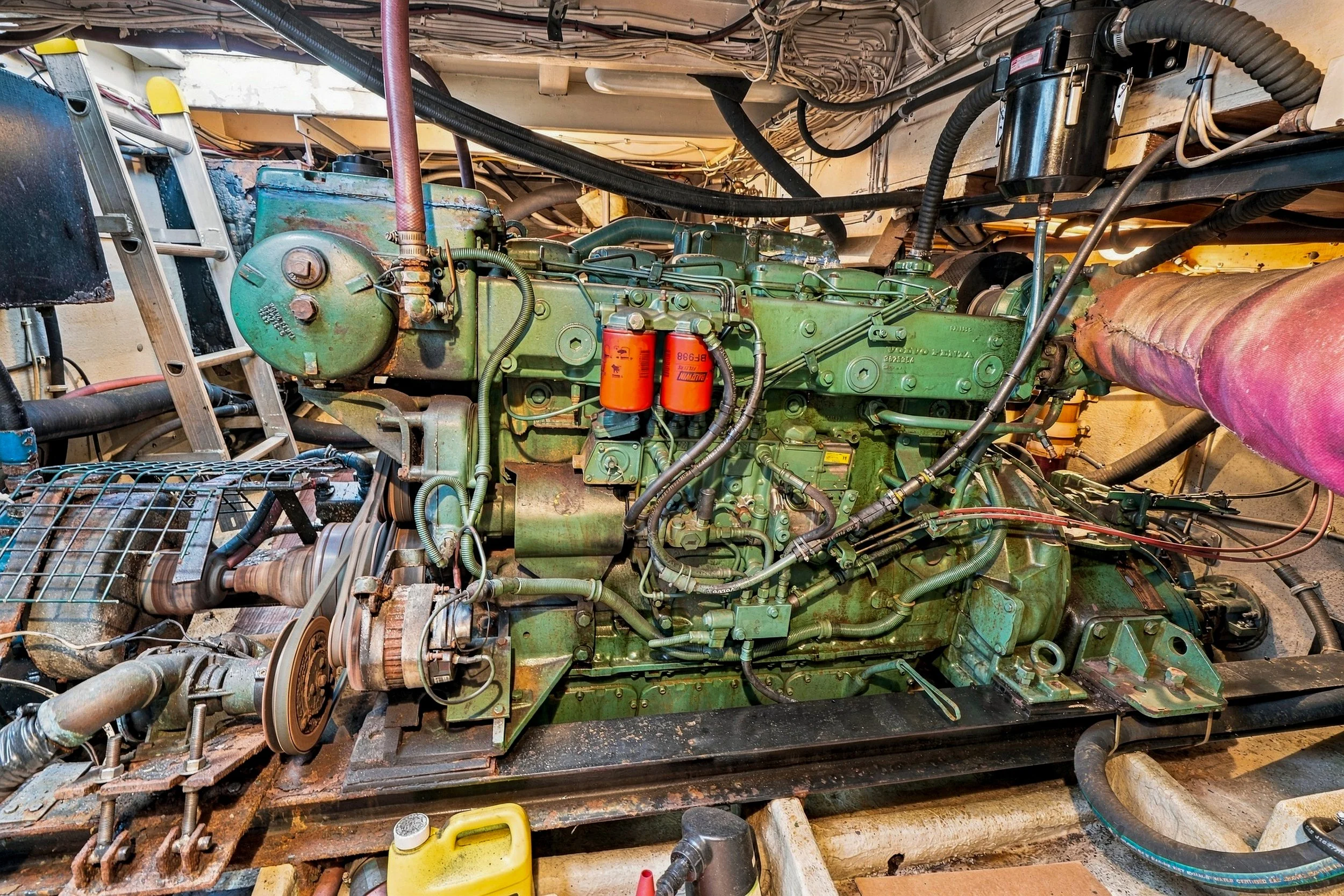 FV-Viking-Rose-45.jpg