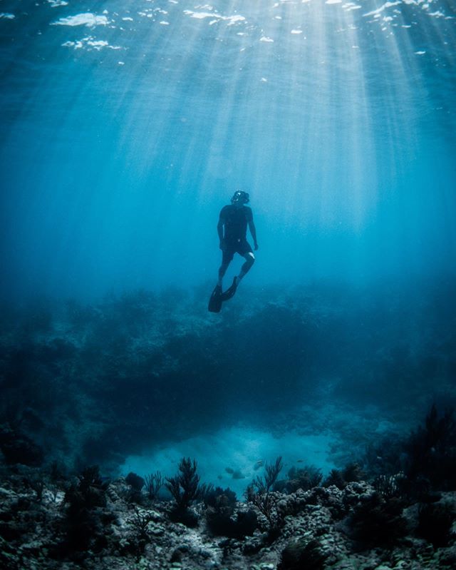Under the Influence ⠀
⠀
⠀
⠀
#darkseas #florida #ocean #lovefl #floridakeys #exploremore #photooftheday #instagood #freediving #nikon #aquatech_imagingsolutions #aquatech #oceanminded_arts #sherwoodscuba #apnea