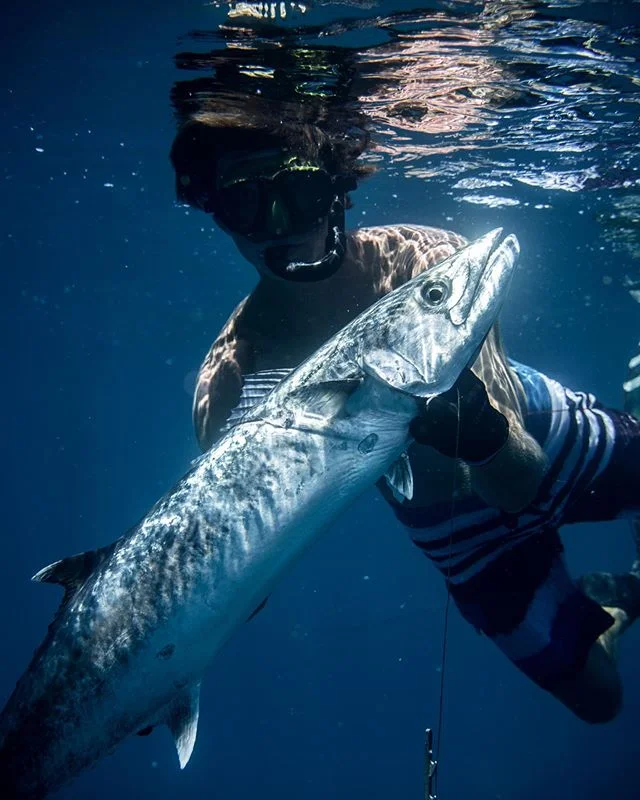 The king has been dethroned ⠀
⠀
⠀
⠀
#spearfishing #florida #summertime #spearchannel #darkseas #aquatech_imagingsolutions #aquatech #nikon #d750 #photooftheday #instagood #ocean #moodygrams #eatwhatyoucatch #sustainable #floridatoday #seahuntboats #s