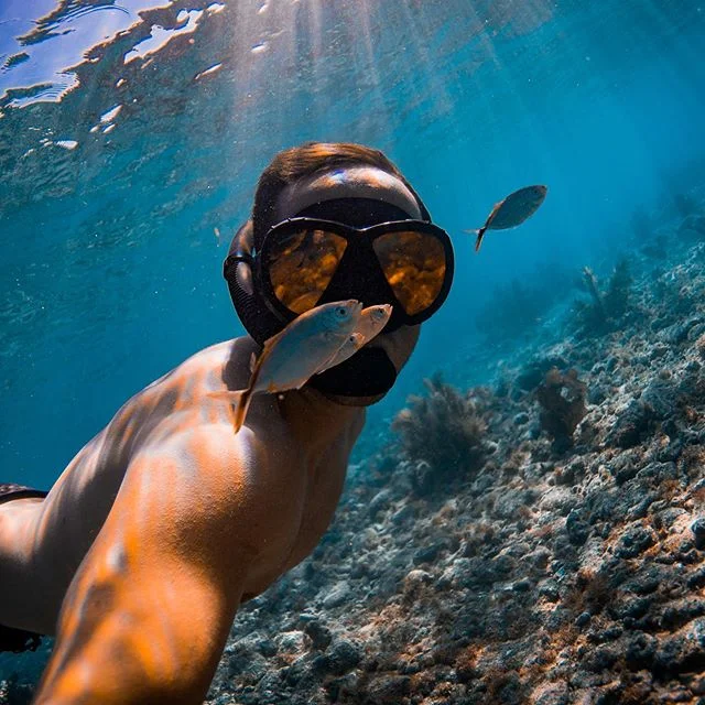 Just passing through, on the way to get my crew
⠀
⠀
⠀
⠀
#sherwoodscuba #freediving #florida #floridakeys #aquatech_imagingsolutions #nikon #d750 #photooftheday #instagood #oceanminded #ocean #darkseas #eastcoastdivision #dafin #lightroompresets #expl