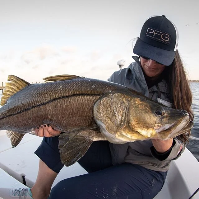 There was no shortage of snook this past weekend... All thanks to the legend himself @romstadt78 who made the damn thing happen! ⁣
⁣
⁣
#darkseas #columbiapfg #snook #fishing #florida #aquatech_imagingsolutions #nikon #lovefl #rcioptics #instagood #ph