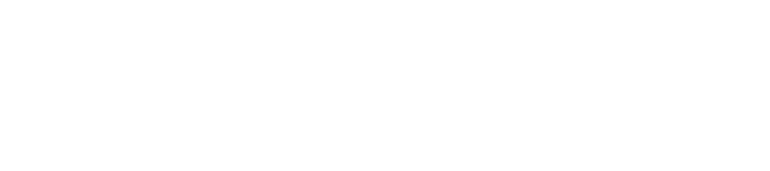shinex-logo-white.png