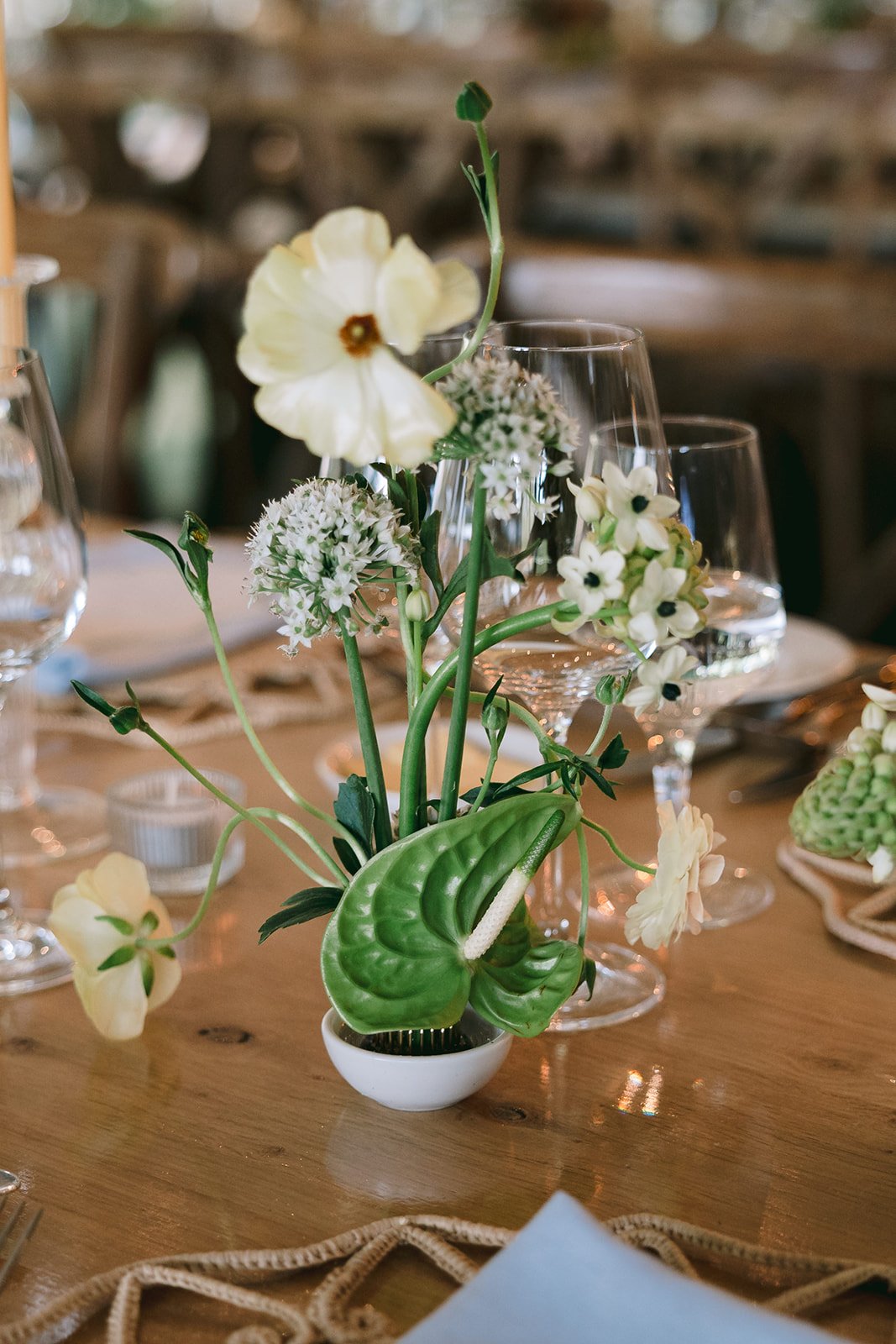 Photography by Ciara Cassidy A_26D Virginia Park Lodge-600.jpg