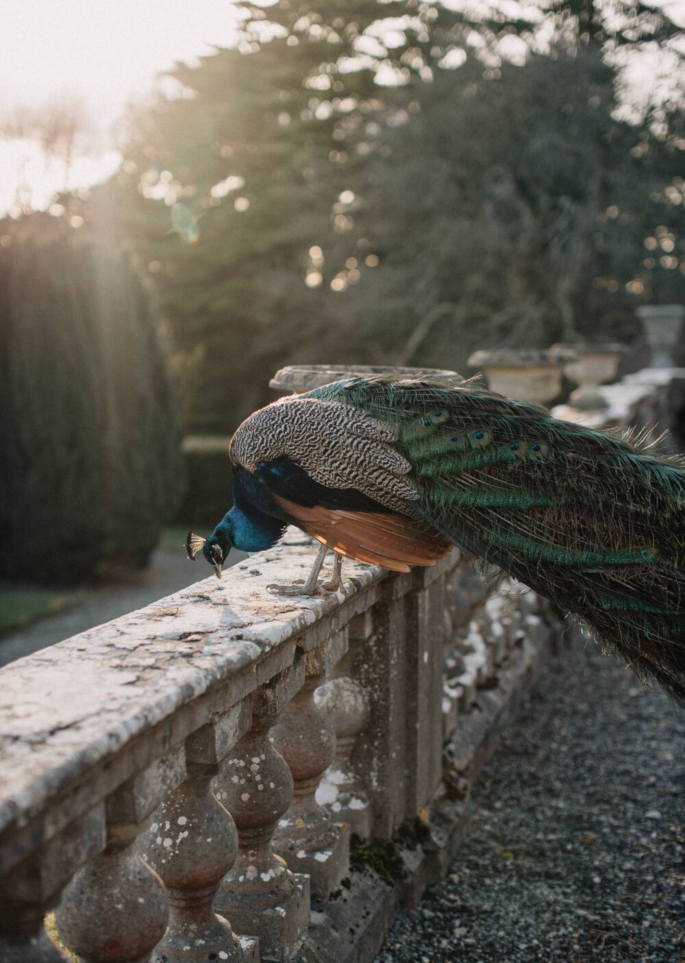 Manor House Wedding Ireland Wedding Stylist