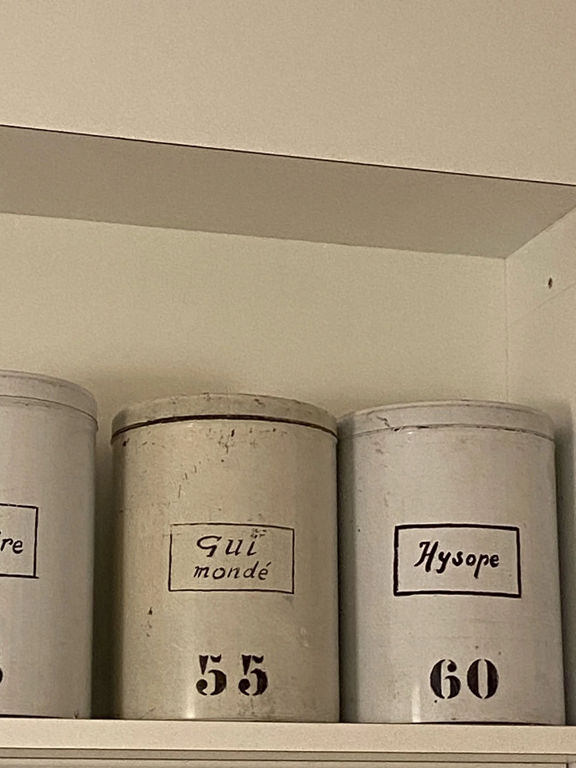 E5D269BC-CE33-4B79-86A3-7D8B3A07E850