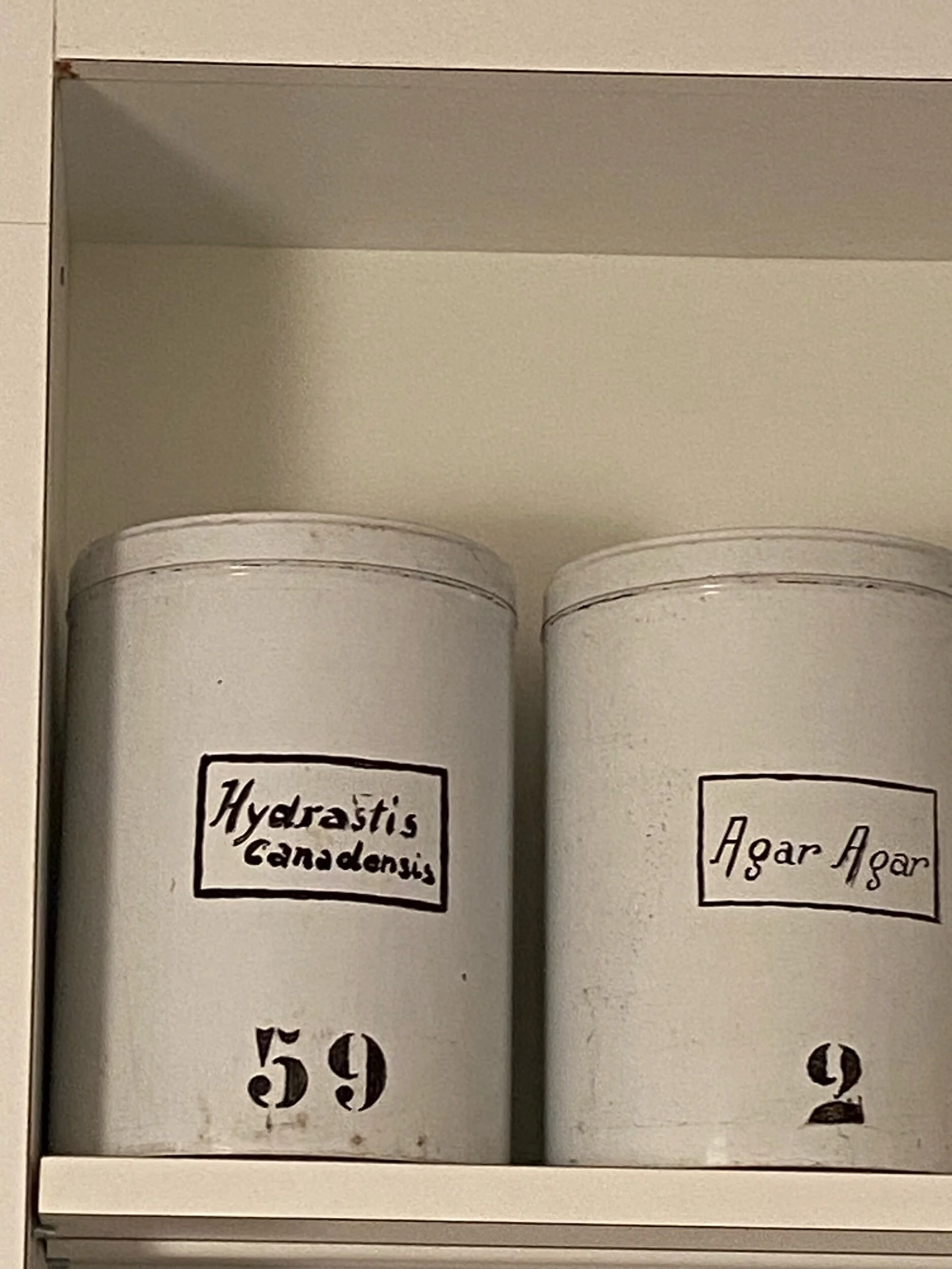 04087FE0-C764-48E2-8ED6-AB19AFD0A14E