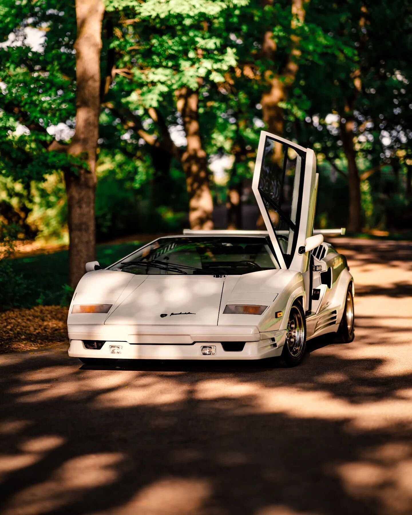 The legendary 🐺 of Wall Street.

Like this post if you think @ryfips needs to come visit in Calgary.

#countach #lamborghinicountach #retrolamborghini #Calgary #yyc