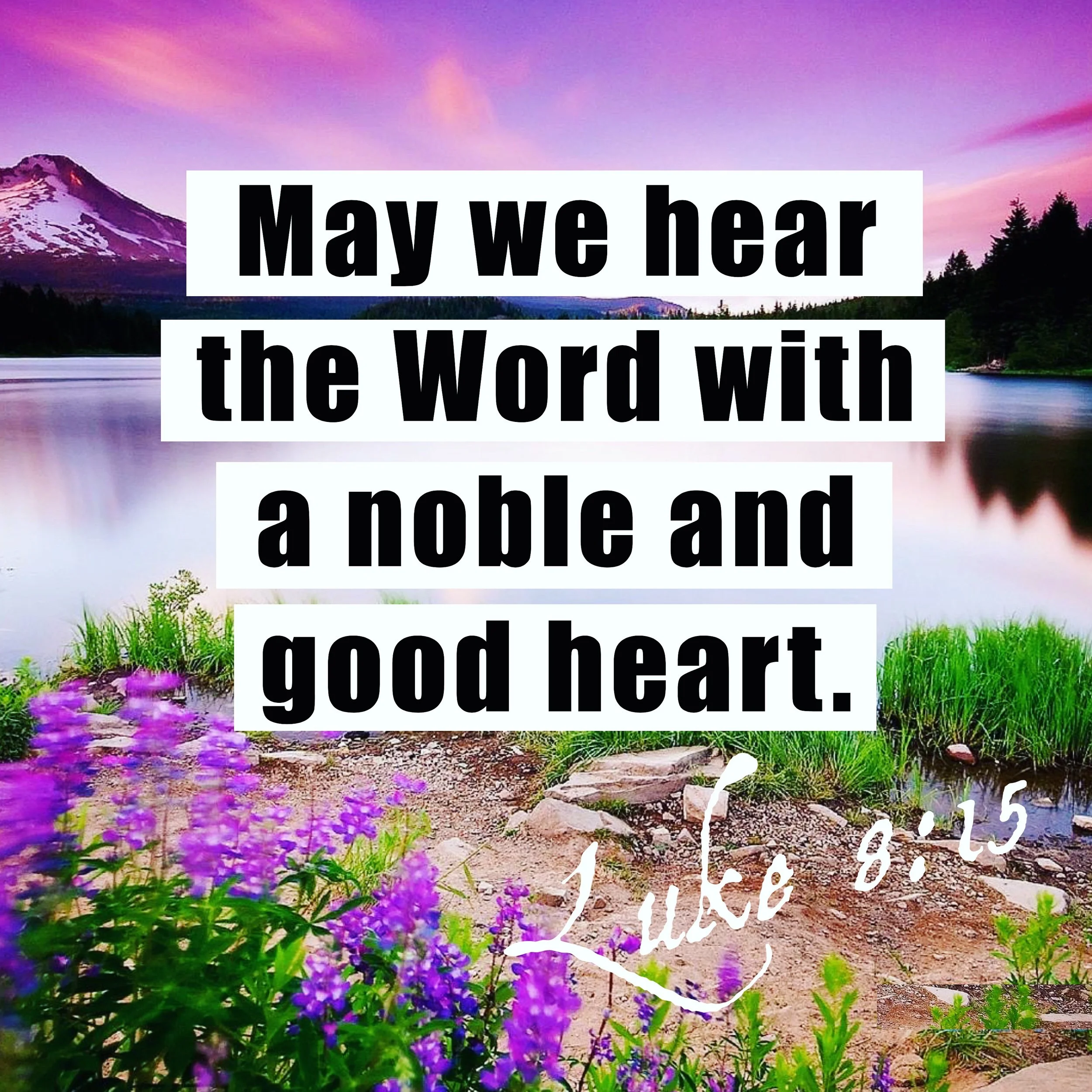 Scripture ✝️🦁