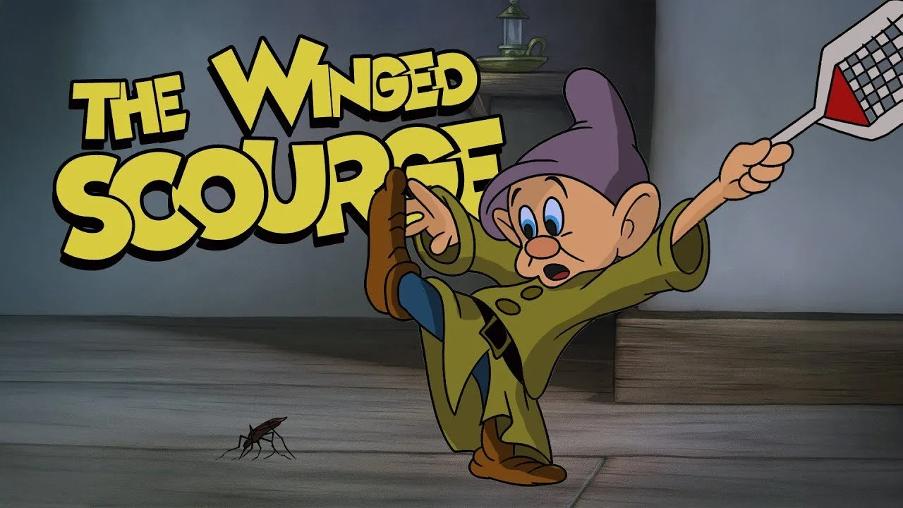 maxresdefault (6).jpg