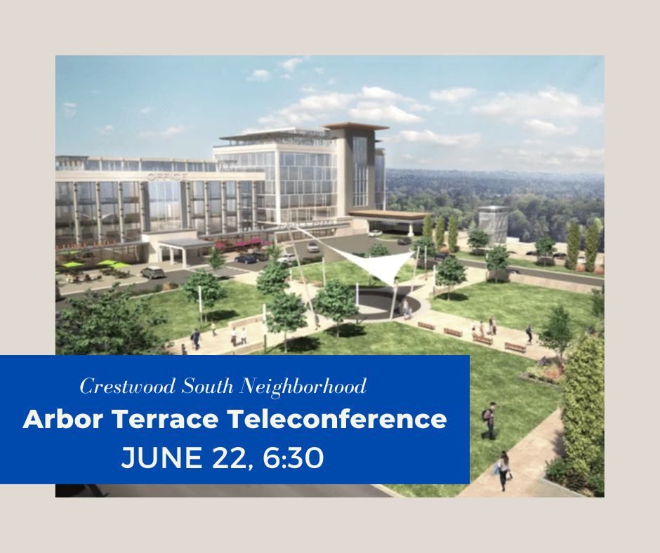Meeting Minutes for June 2020