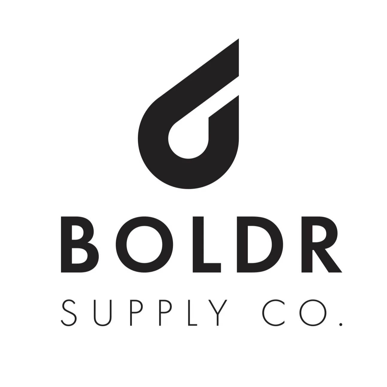 BOLDR_Logo_2021 - Leon Leong.jpg