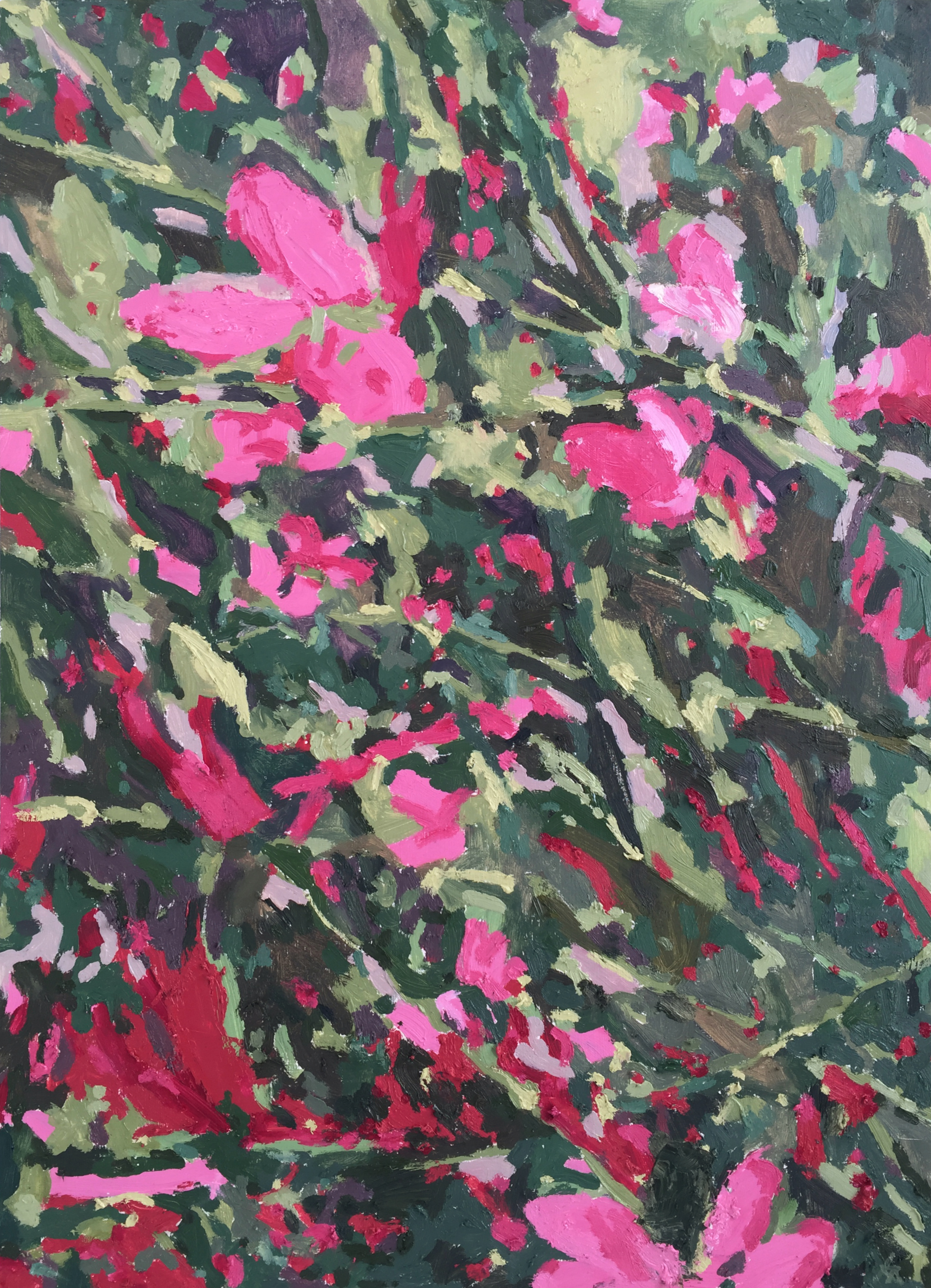 Blushing Thicket