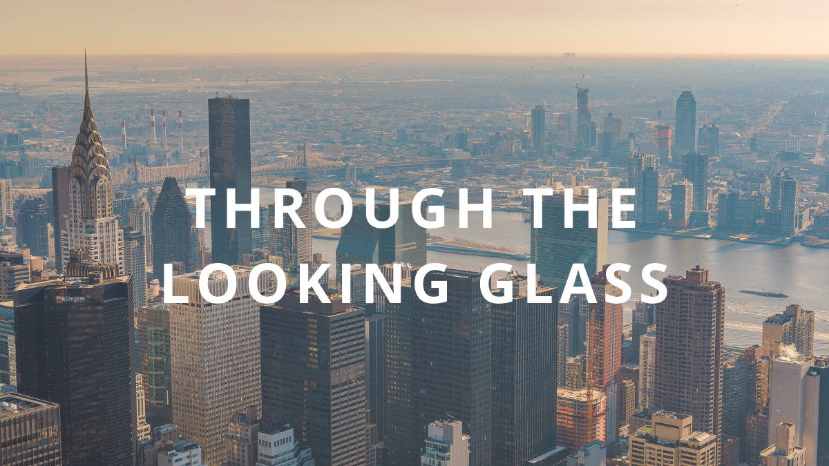 Launching Through the Looking Glass: Underrepresented Limited Partner Views