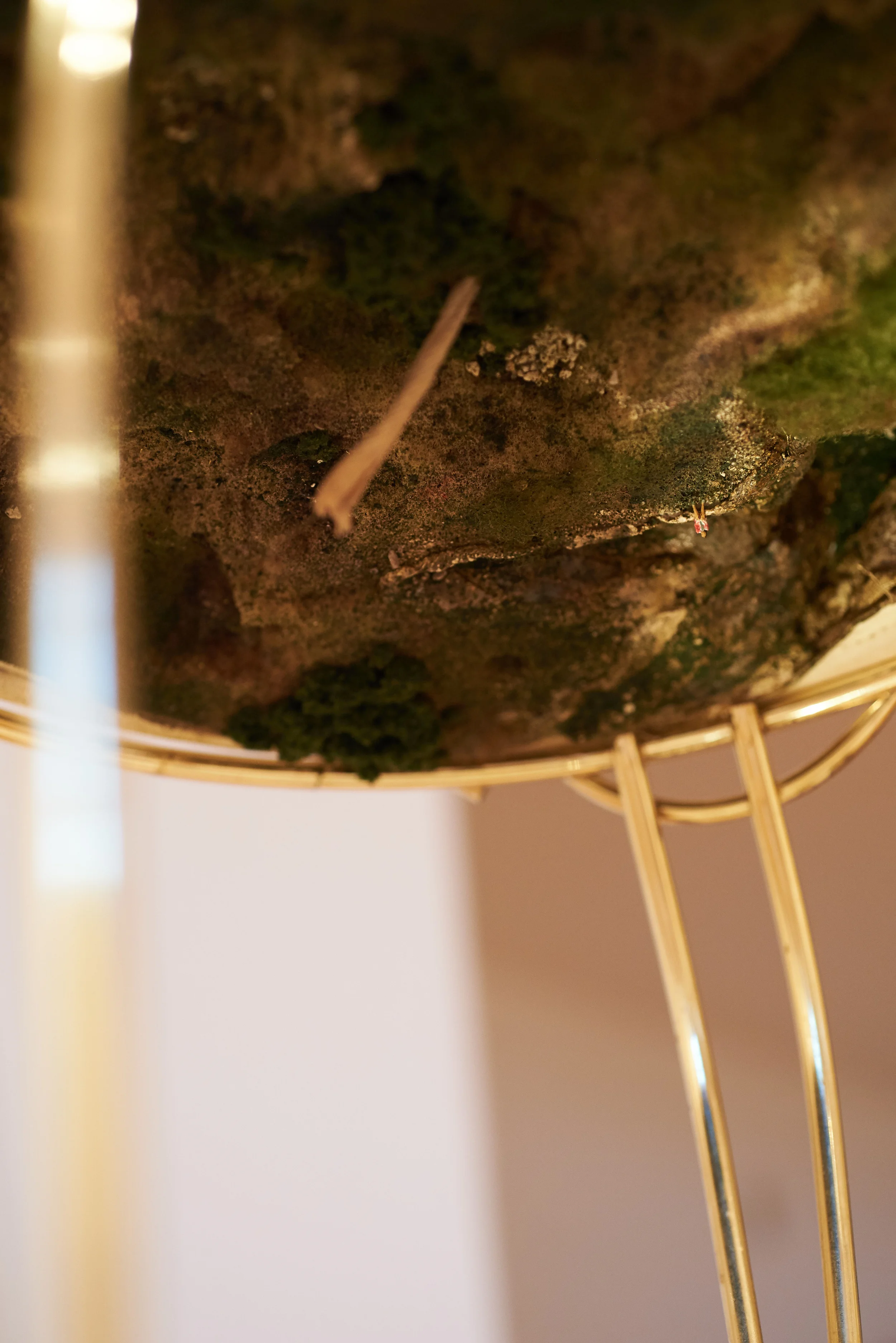 view under the cushion