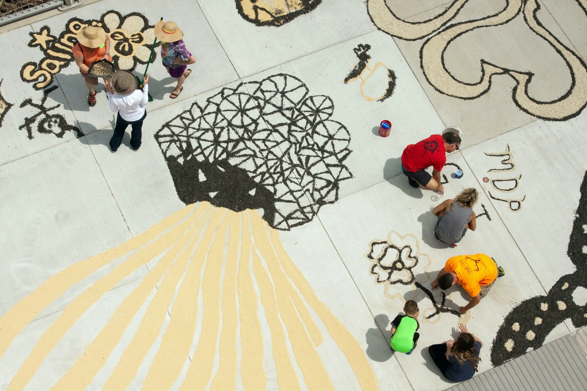 4-Witte_Jessica_Seed the Change (coneflowerwith crewandcrowd drawing).jpeg