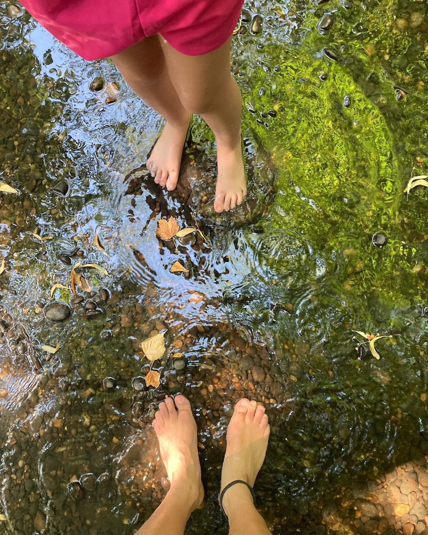 Spent some lovely days with my fairy goddaughter this past weekend, storytelling by streams whilst magpies laughed under the shade. ✨
