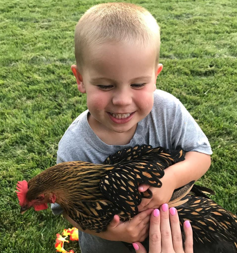 Image of our son holding his chicken in our backyard.