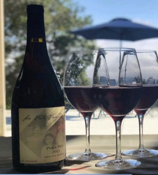 For those of you who missed our tasting, check out link in bio to purchase online! Through the site, you can also join our list to find out about upcoming events! #pinotnoir #santacruz #winetasting