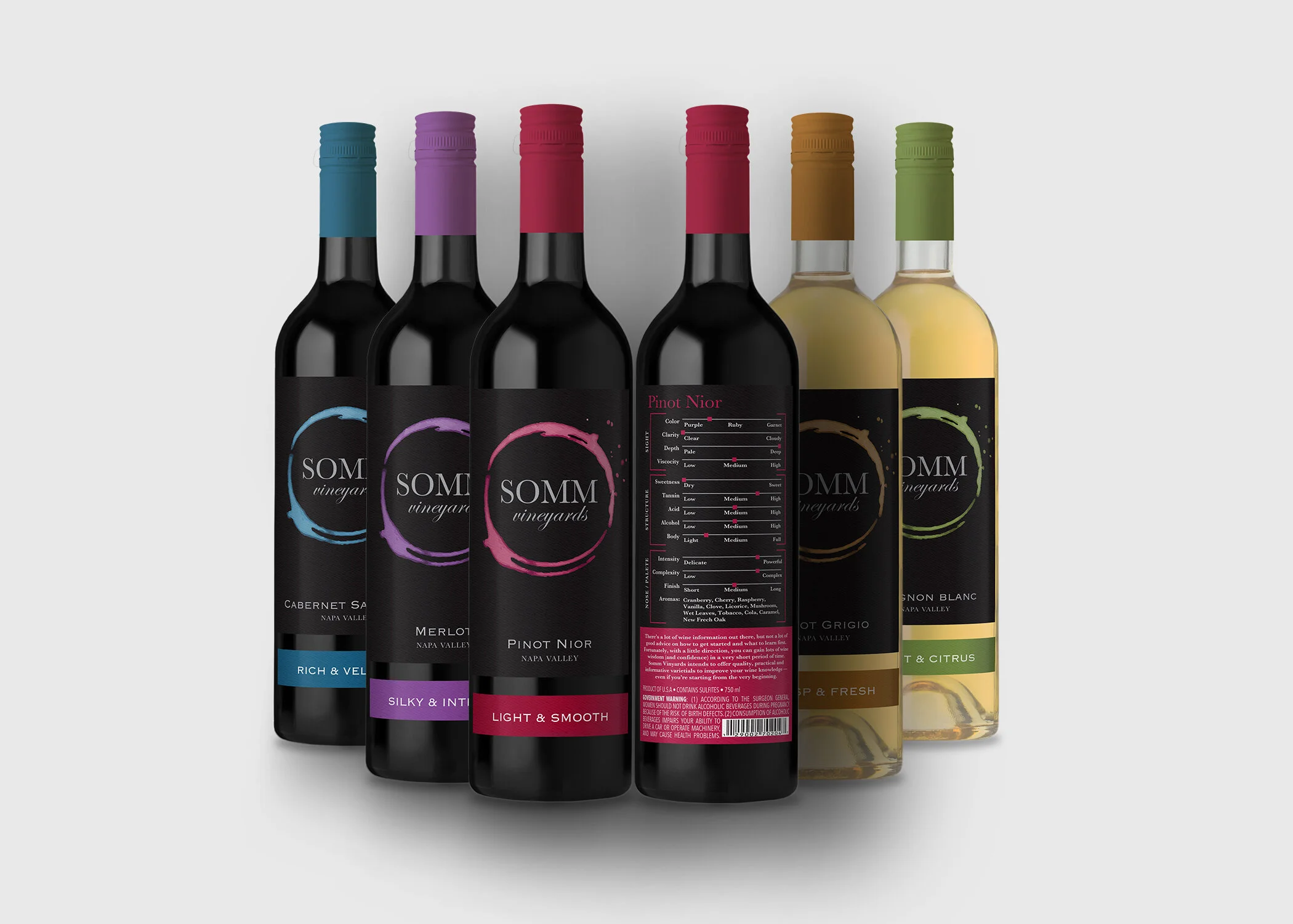 SOMMPortfolio.jpg