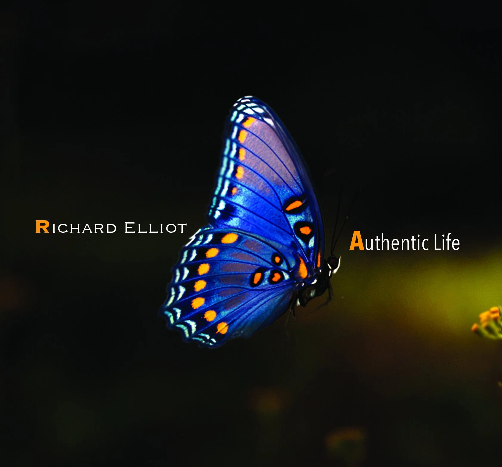 Richard Elliot(02)