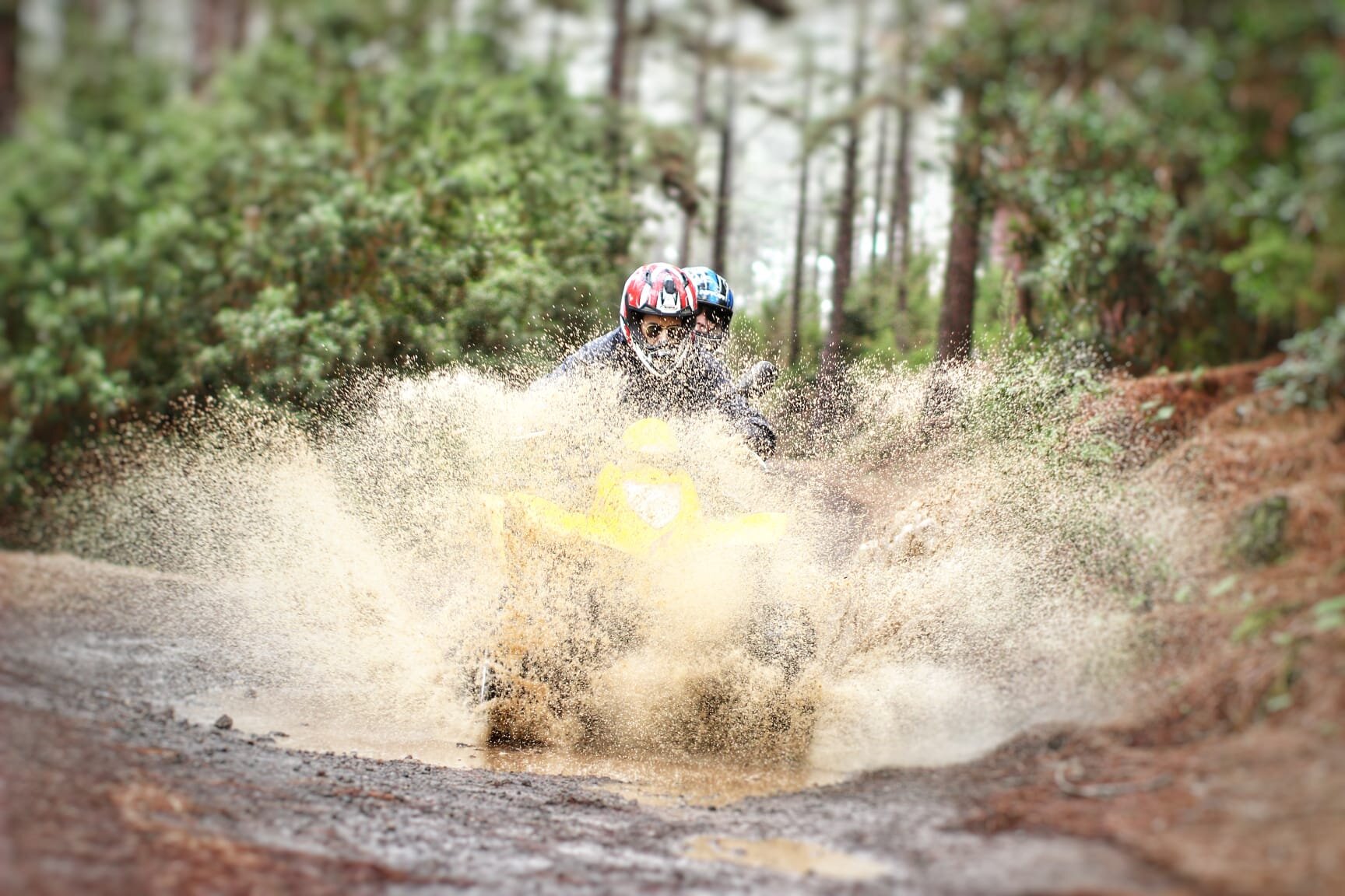 WhatsApp Image 2019-12-10 at 17.57.36.jpeg