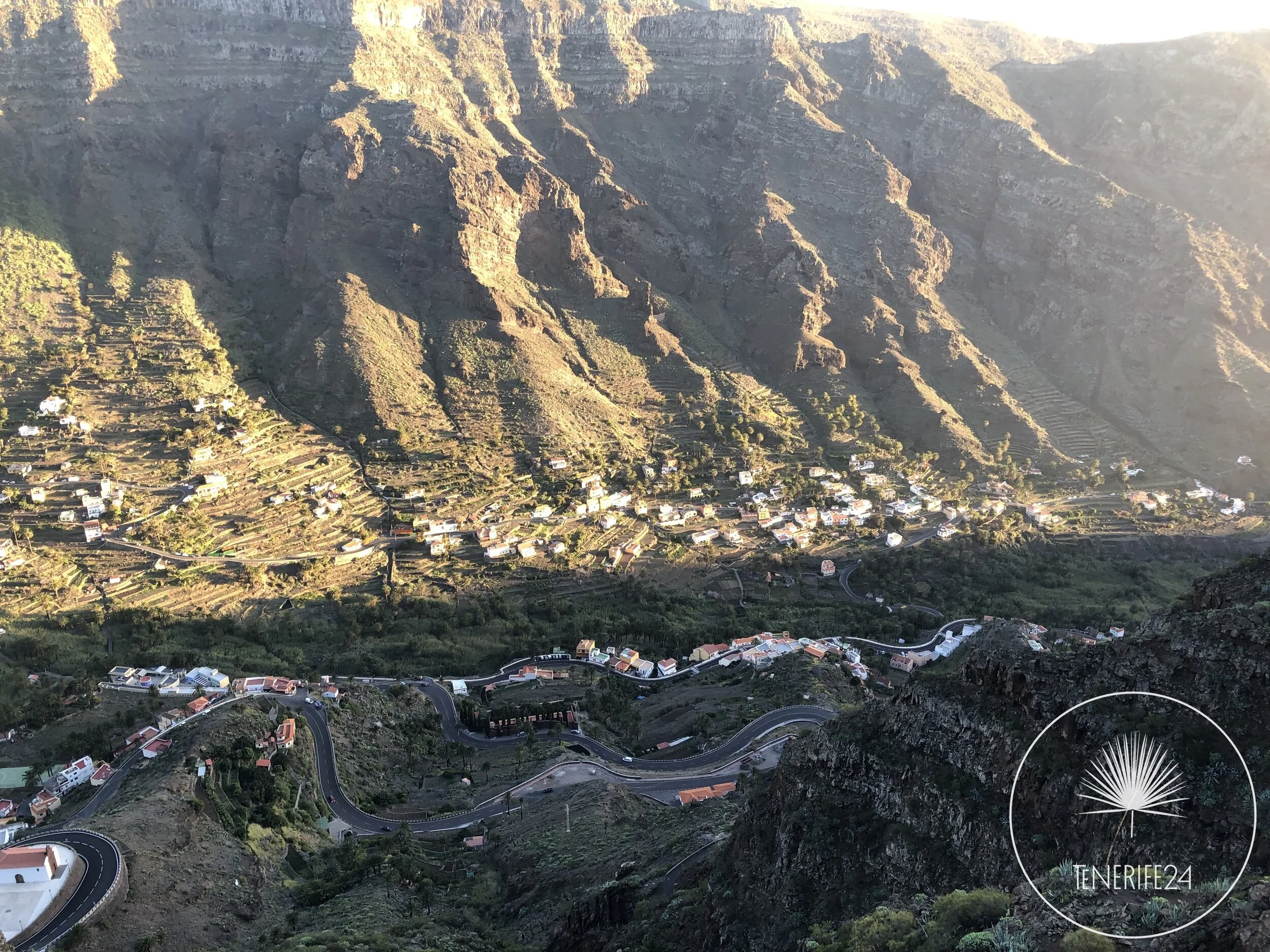 image00024 copy.jpeg