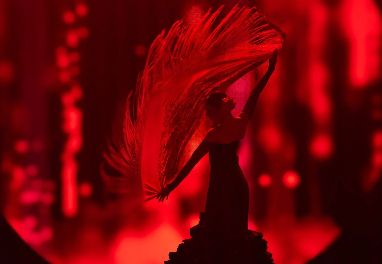 WhatsApp Image 2024-10-03 at 15.58.13.jpeg