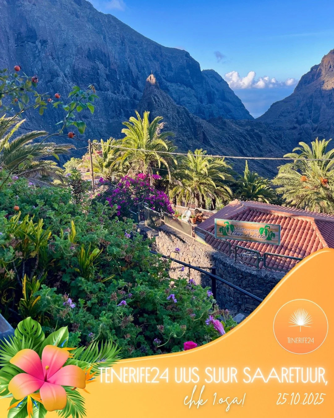 🌴 25.10.2025 – TENERIFE24 UUS SUUR SAARETUUR, ehk 1. osa! 🌴
Milline toredalt päikeseline algus meie 2025/2026 hooajale! ☀️
Väike ja rõõmus seltskond, palju päikest, naeru ja avastamisrõõmu – ju