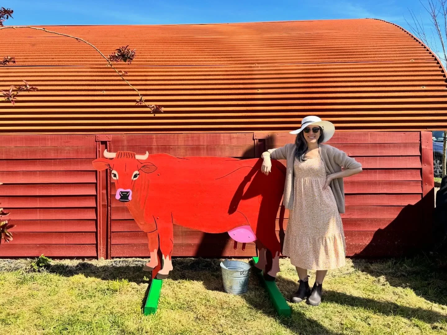 Finally got to see these ladies in person this weekend at @topazfarm! Meet Daisy and Buttercup, the new farm arrivals who will teach kids about the art of milking (along with such mysteries as &ldquo;Do boy cows make milk? Do girl cows have horns?&rd
