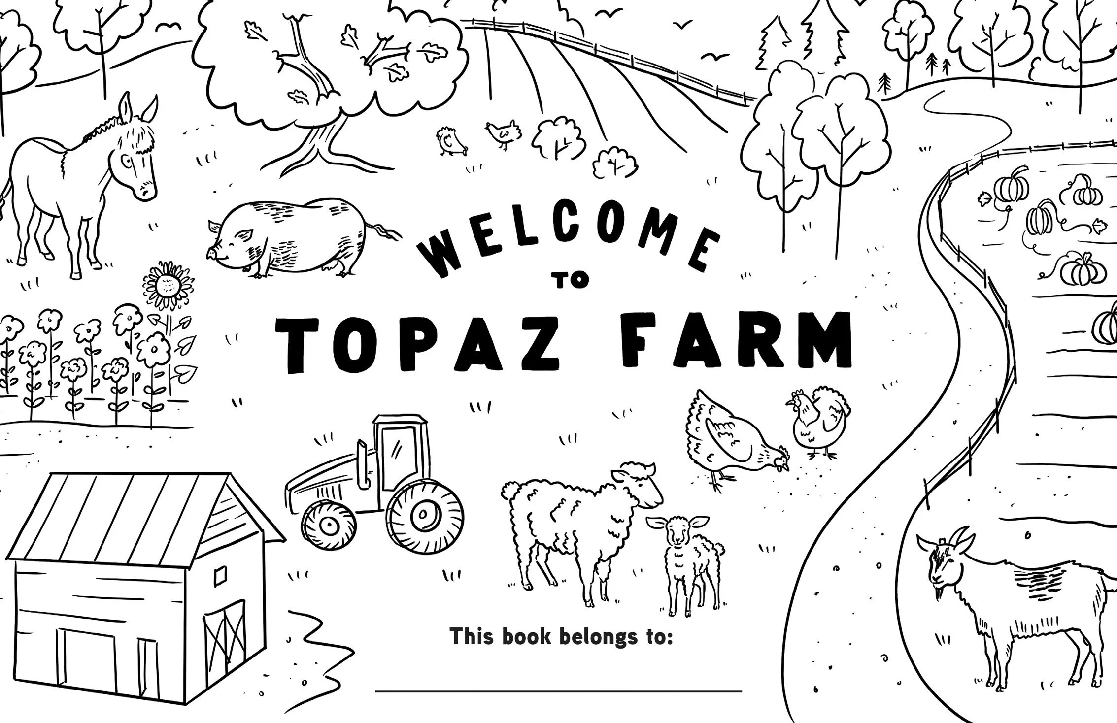 Topaz-9.jpg