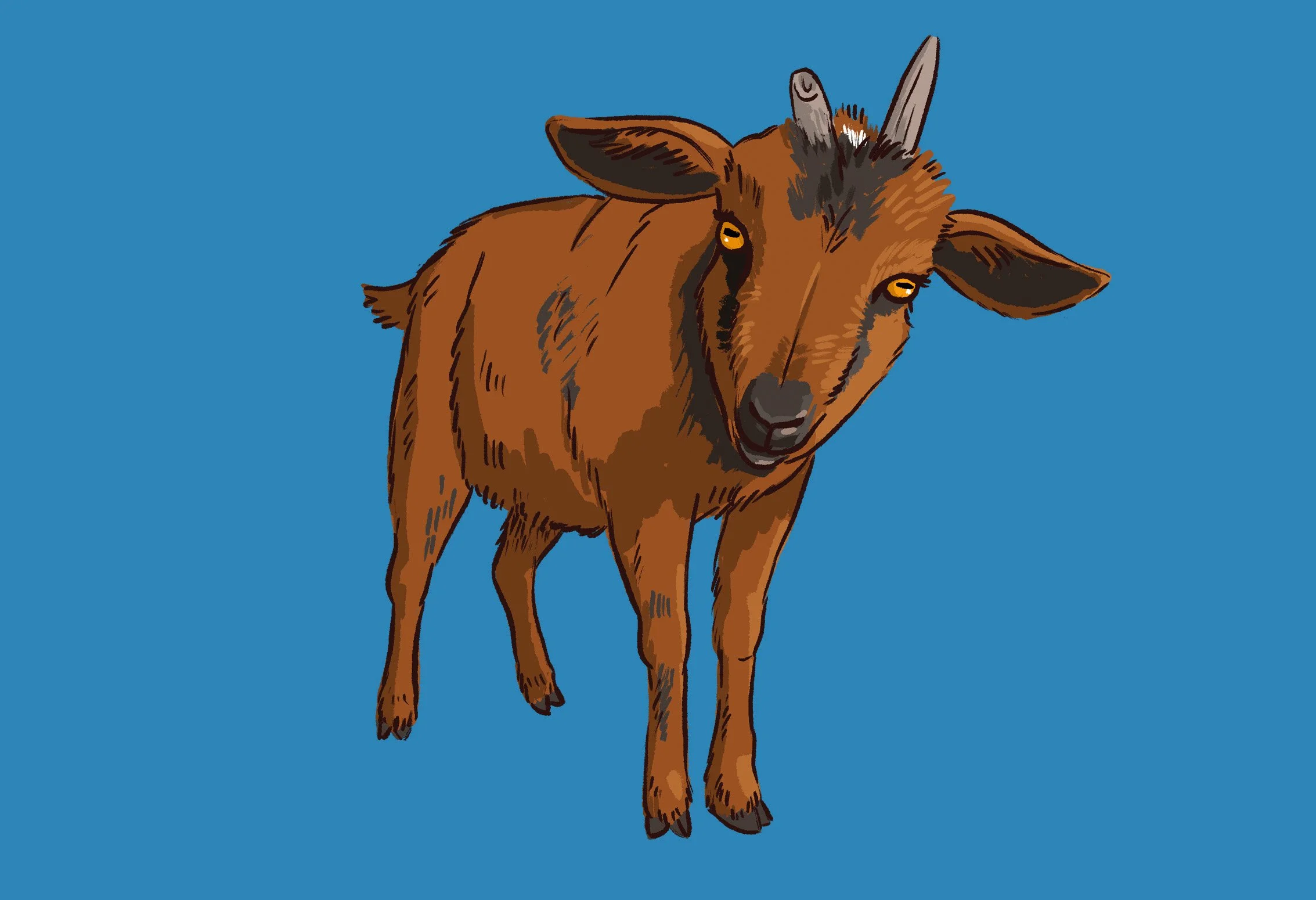 Topaz-3.jpg