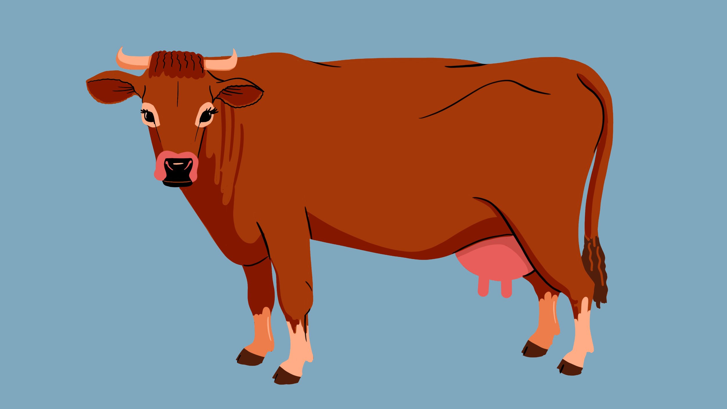 Topaz-cows.JPG