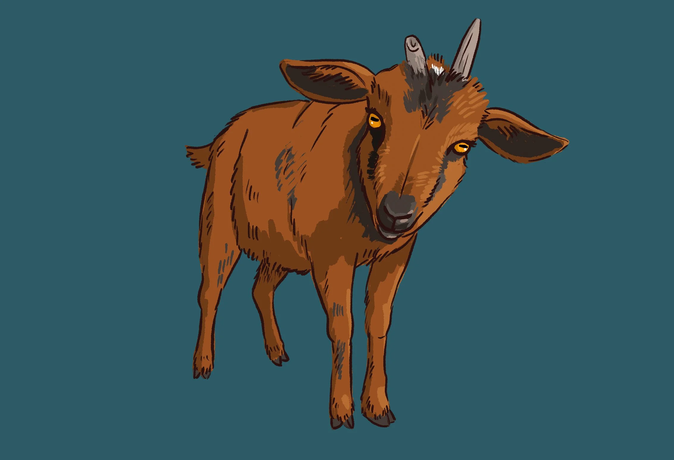 Topaz-cover-2.jpg