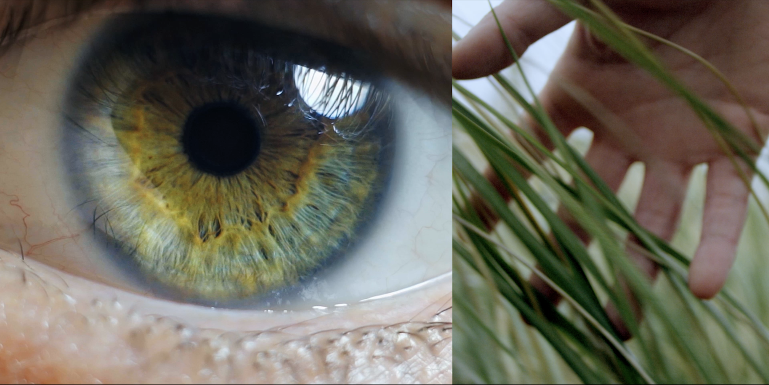 Screen Shot 2020-10-30 at 8.46.17 AM.png