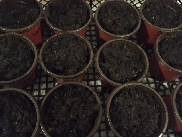 Day 9 - Getting things done :-)