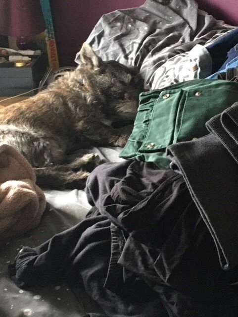 Day 15 - Happy Days :-)