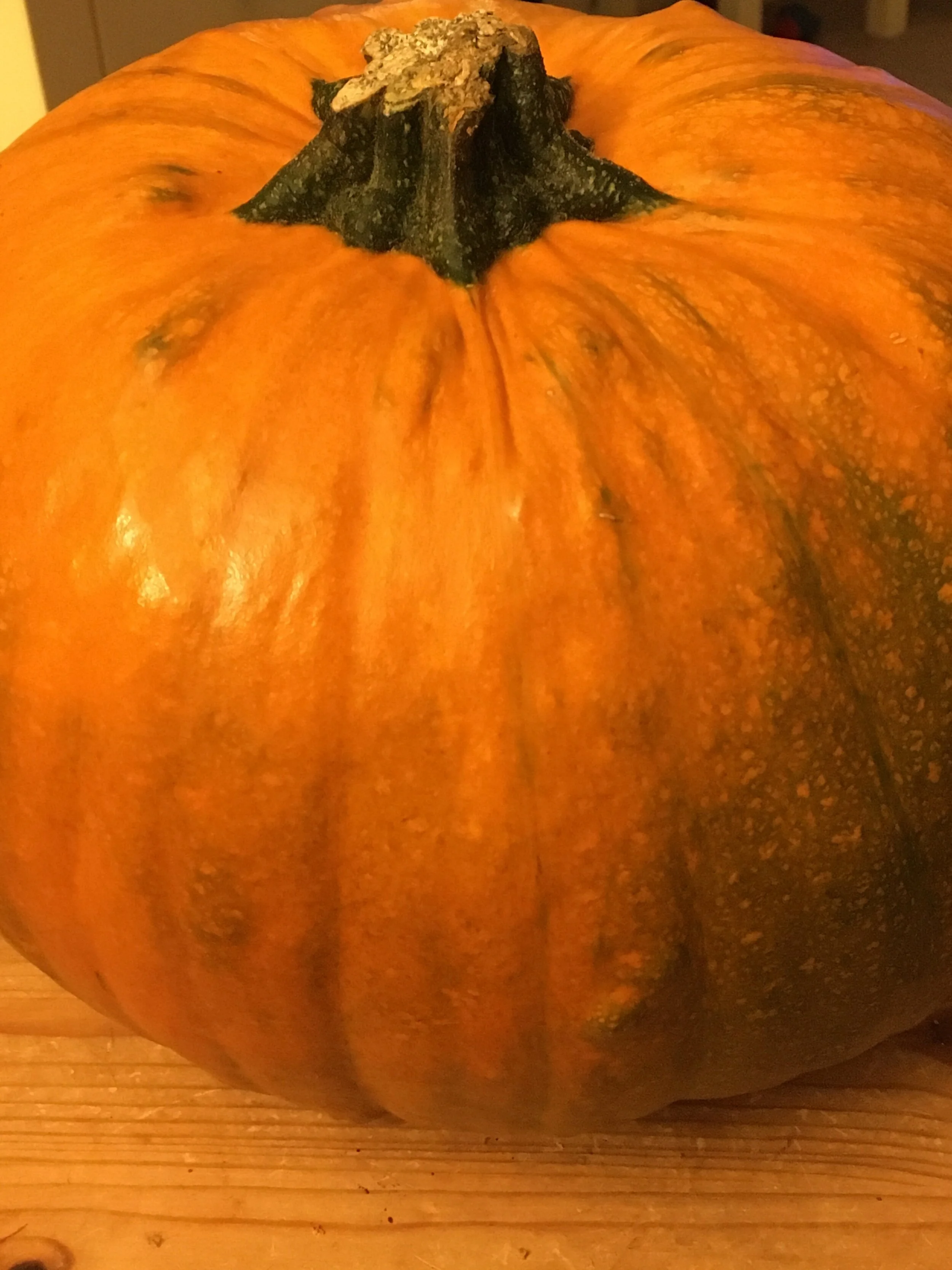 Glowing up and having fun at home - part 2