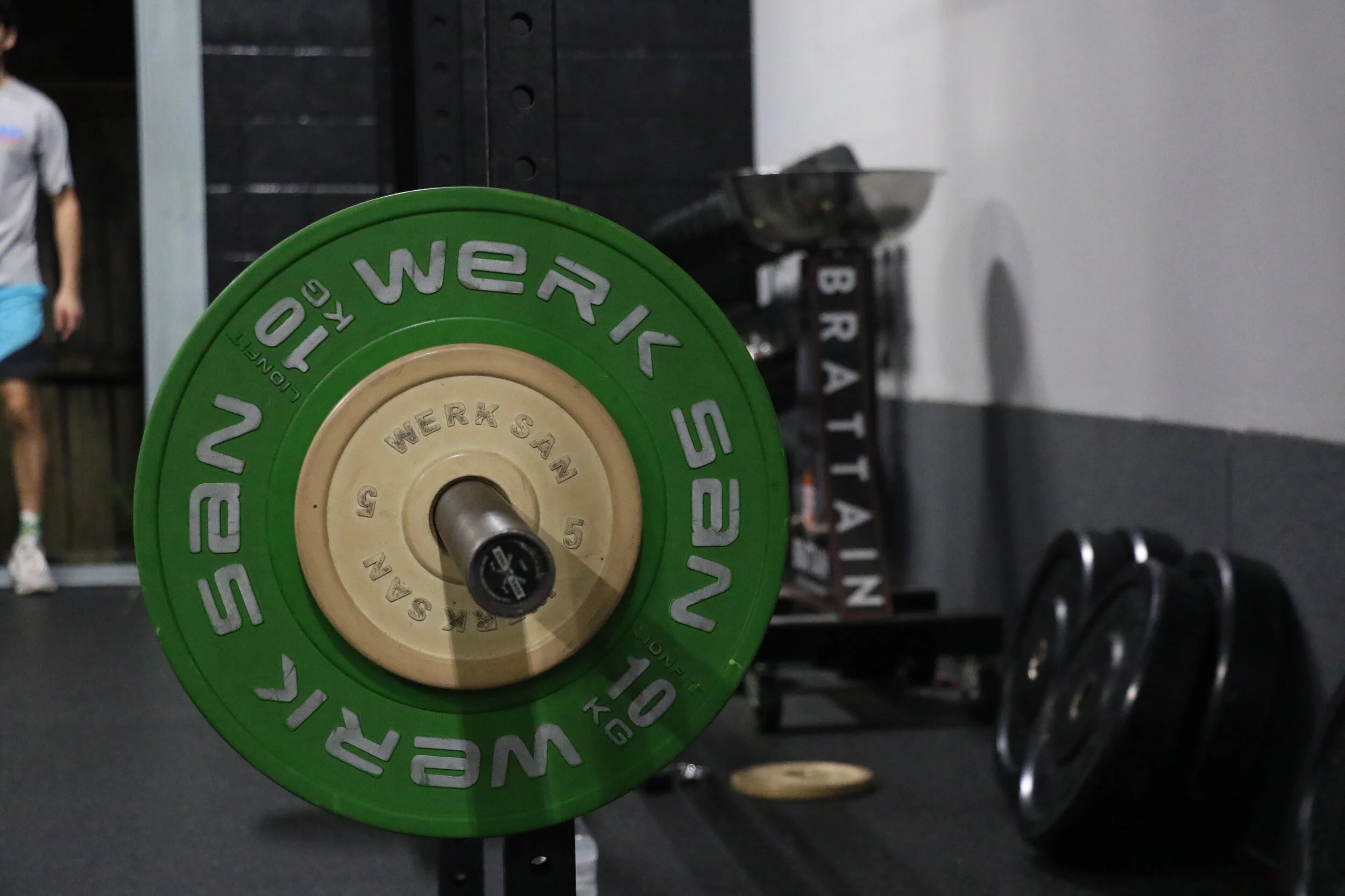 Personalized Training Program w/ Your Current Equipment