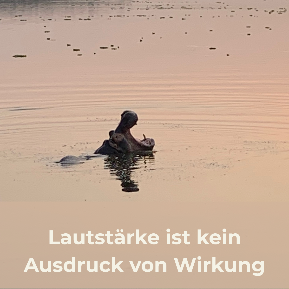 Lautstärke ist kein Ausdruck von Wirkung 