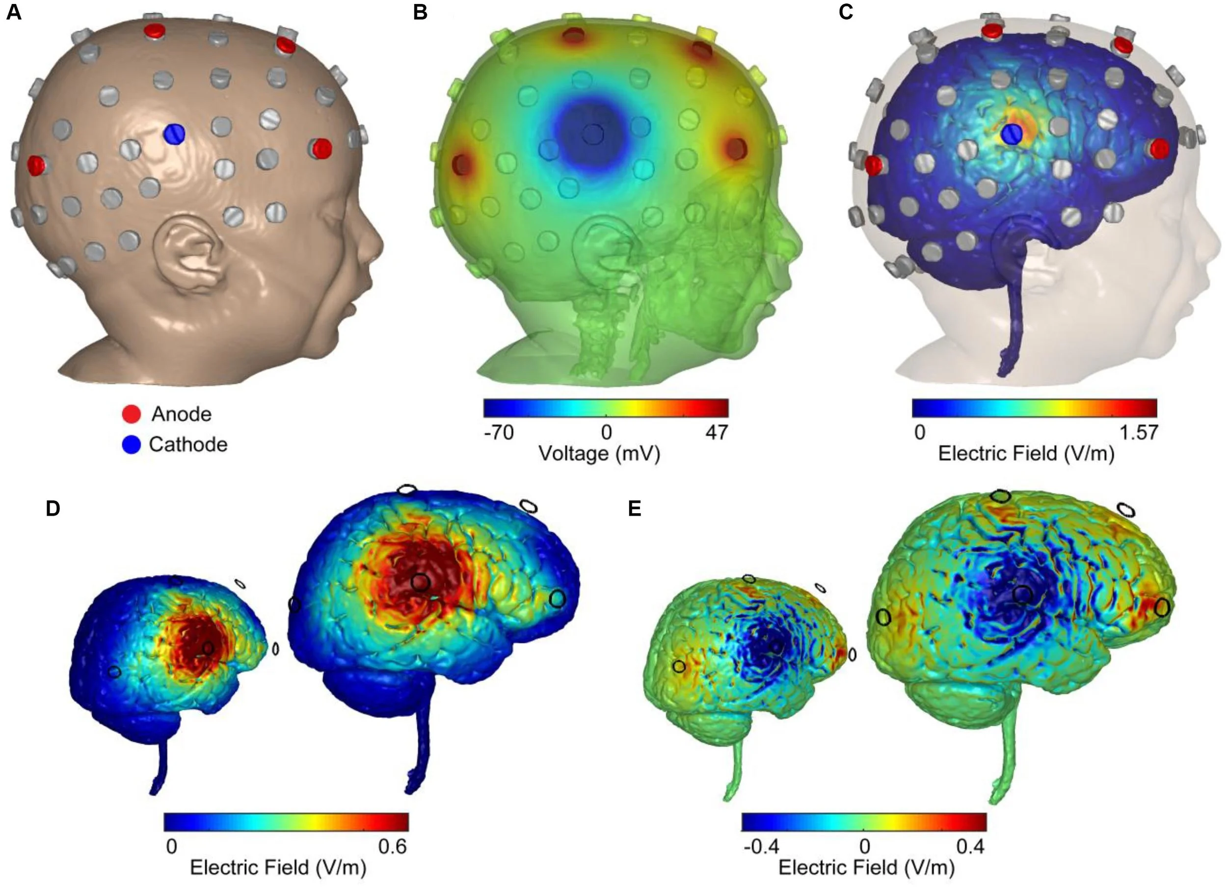 antilepticeffects_image.jpg