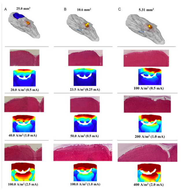 New paper and New editorial on tDCS Safety