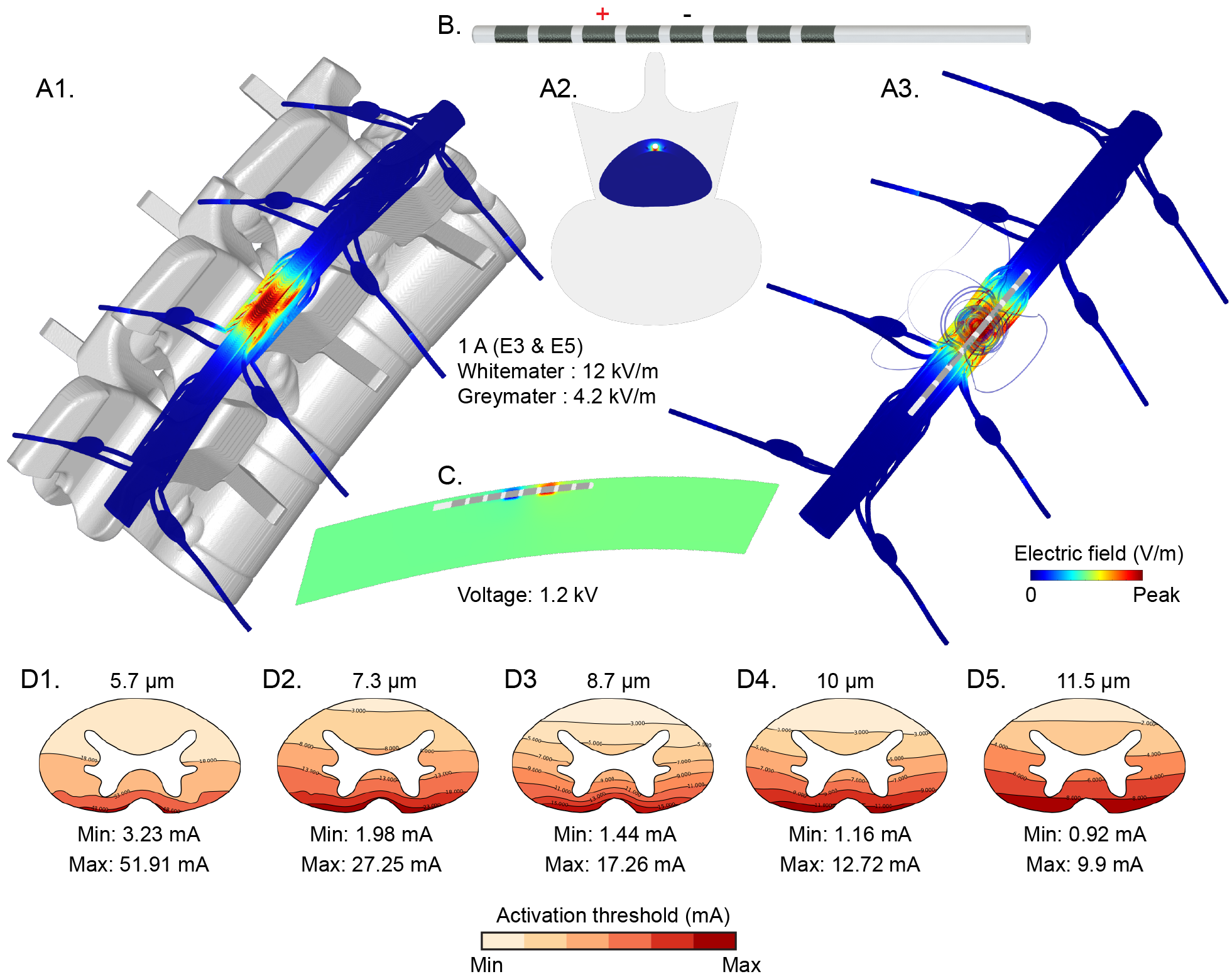 New PrePrint: Realistic Anatomically Detailed Open-Source Spinal Cord Stimulation (RADO-SCS) Model