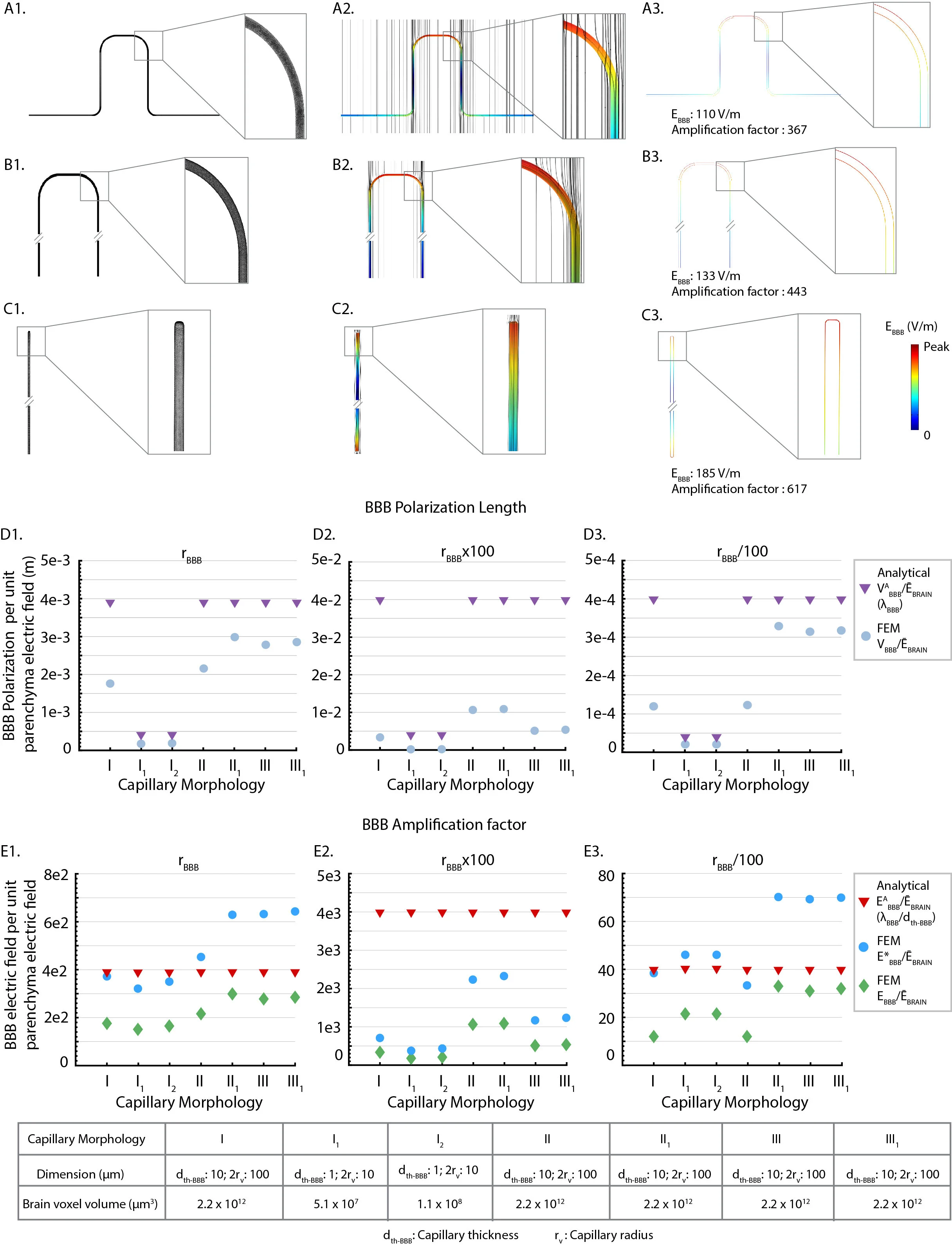 New Preprint: Neurovascular-modulation