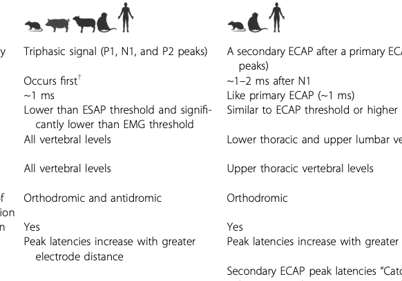 New Paper: Epidural Spinal Signals in Preclinical Models SCS 