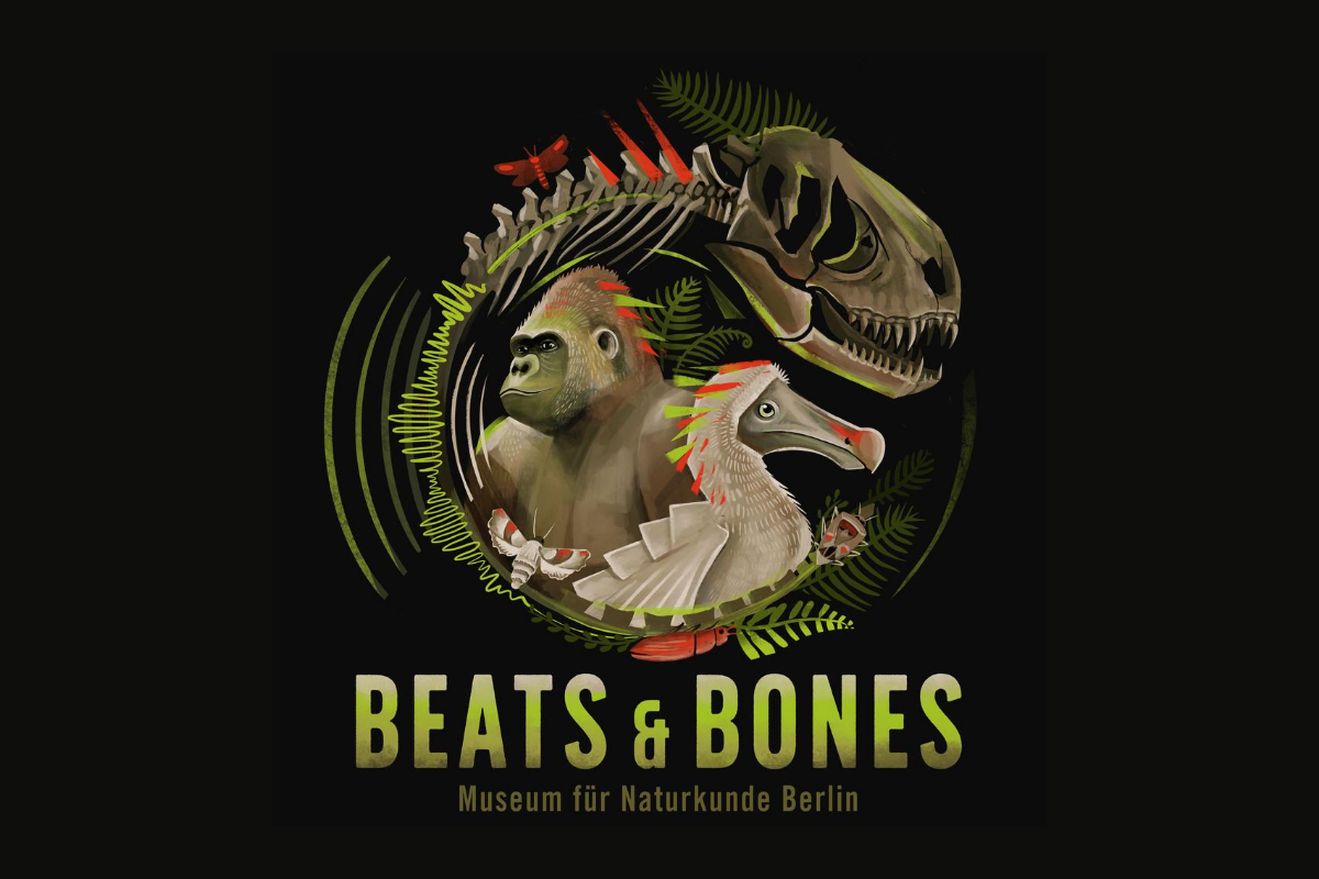 beats-bones-webseite.png