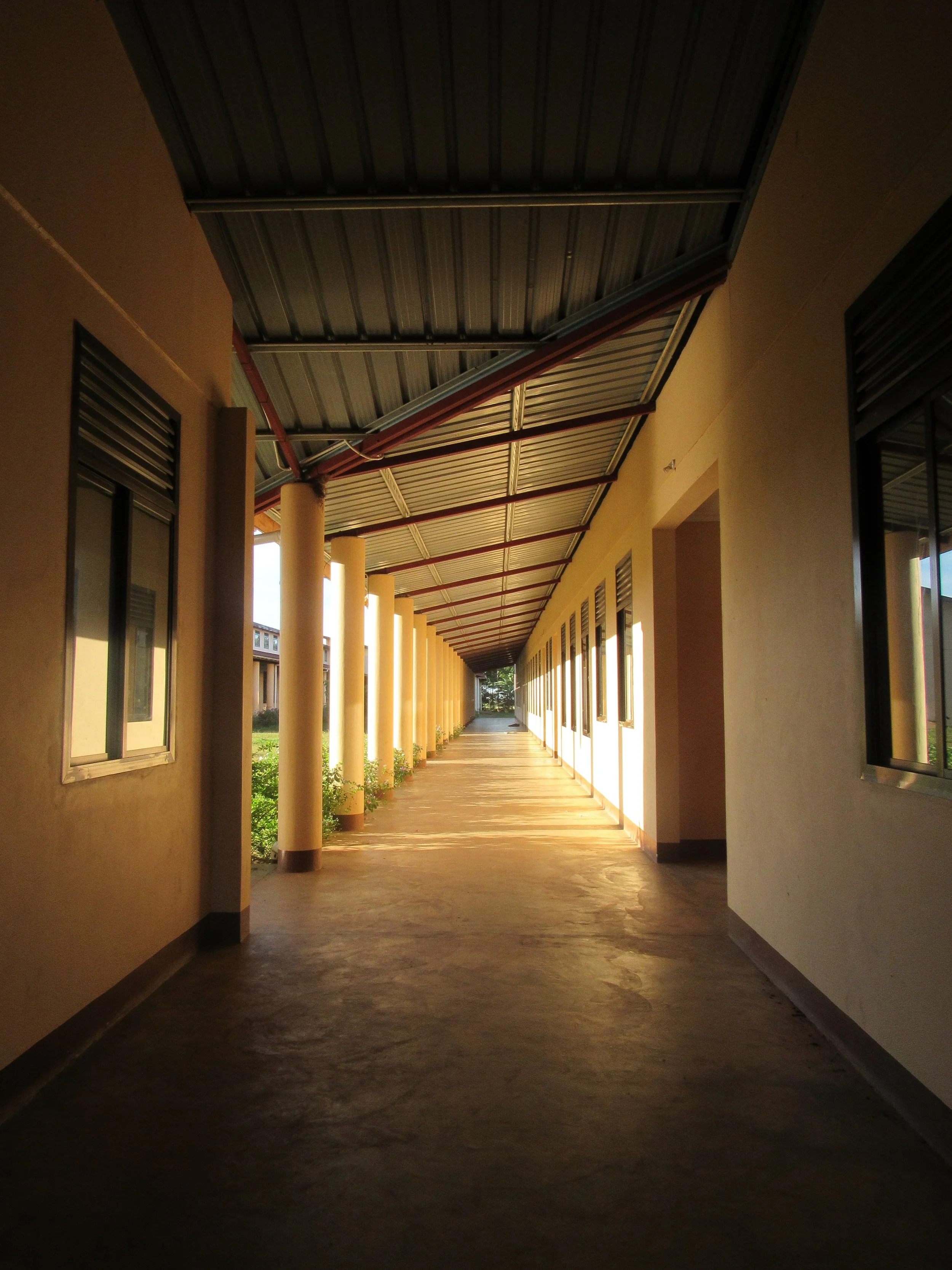 IMG_6699.jpg